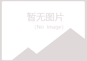 黑龙江紫山咨询有限公司